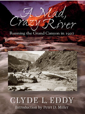 cover image of A Mad, Crazy River